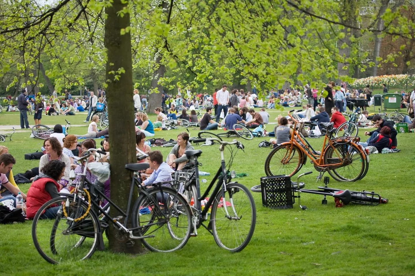 Picknickrondje Vondelpark