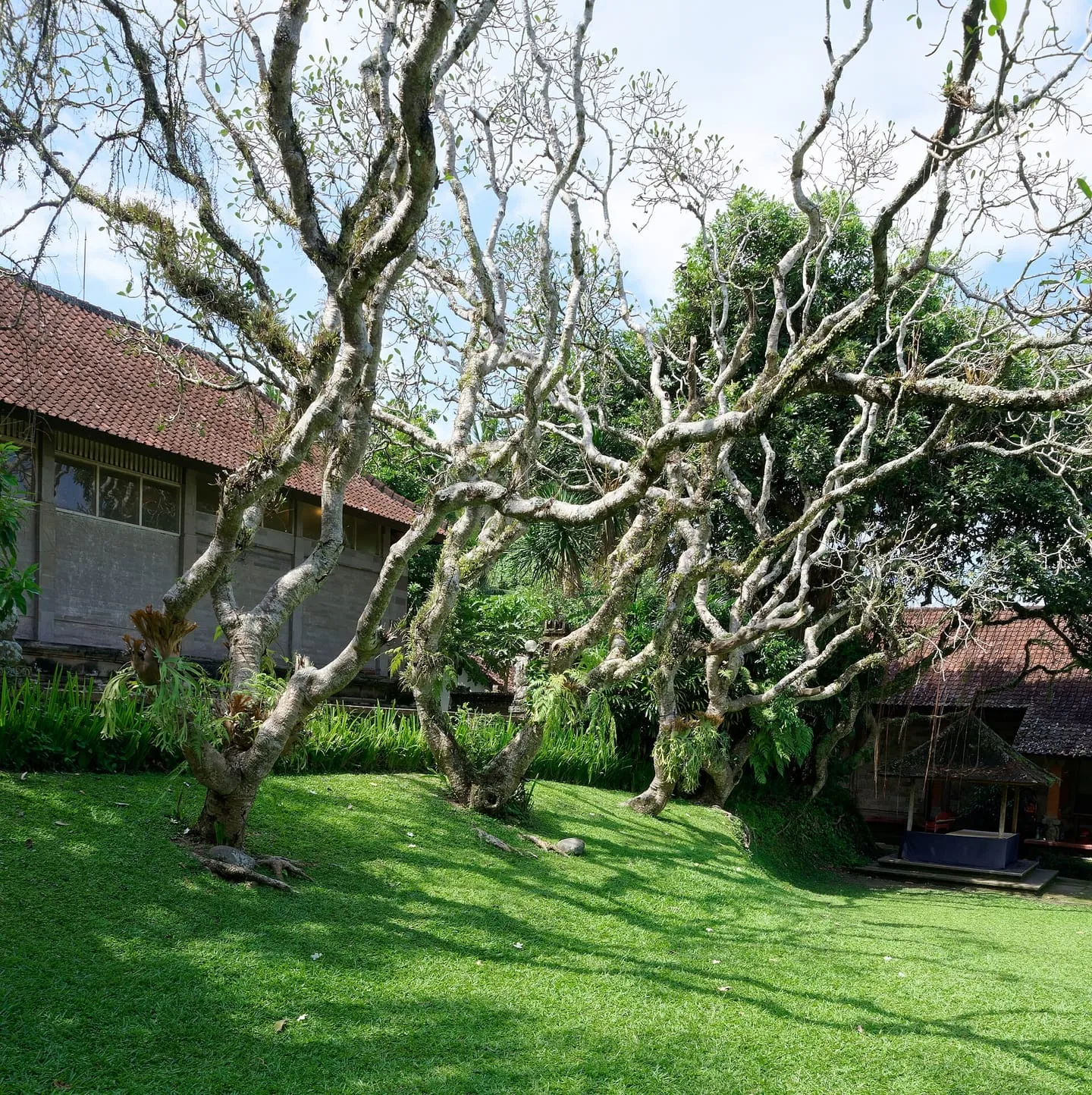 Puri Lukisan Museum