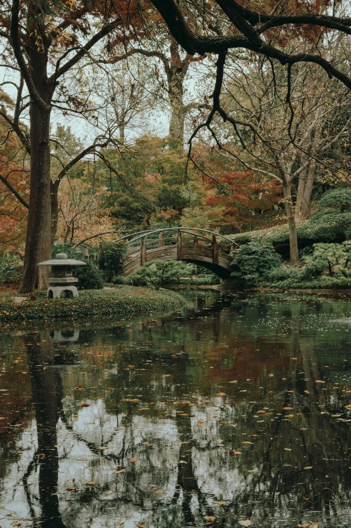 Fort Worth Botanic Garden and Japanese Garden