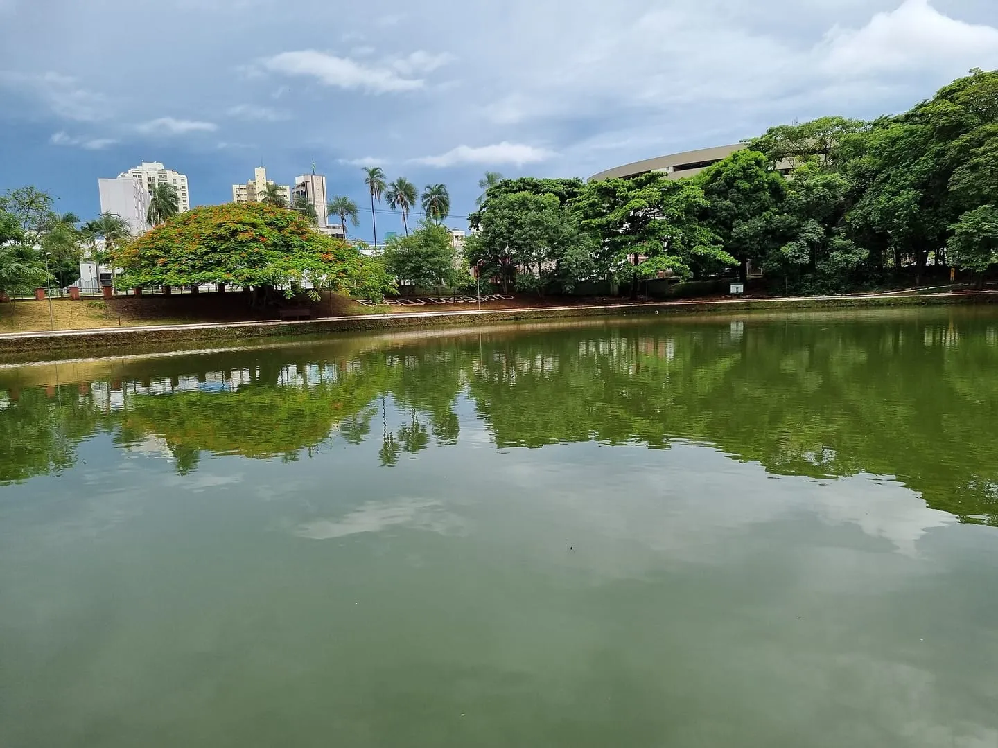 Bosque dos Buritis e Museu de Arte