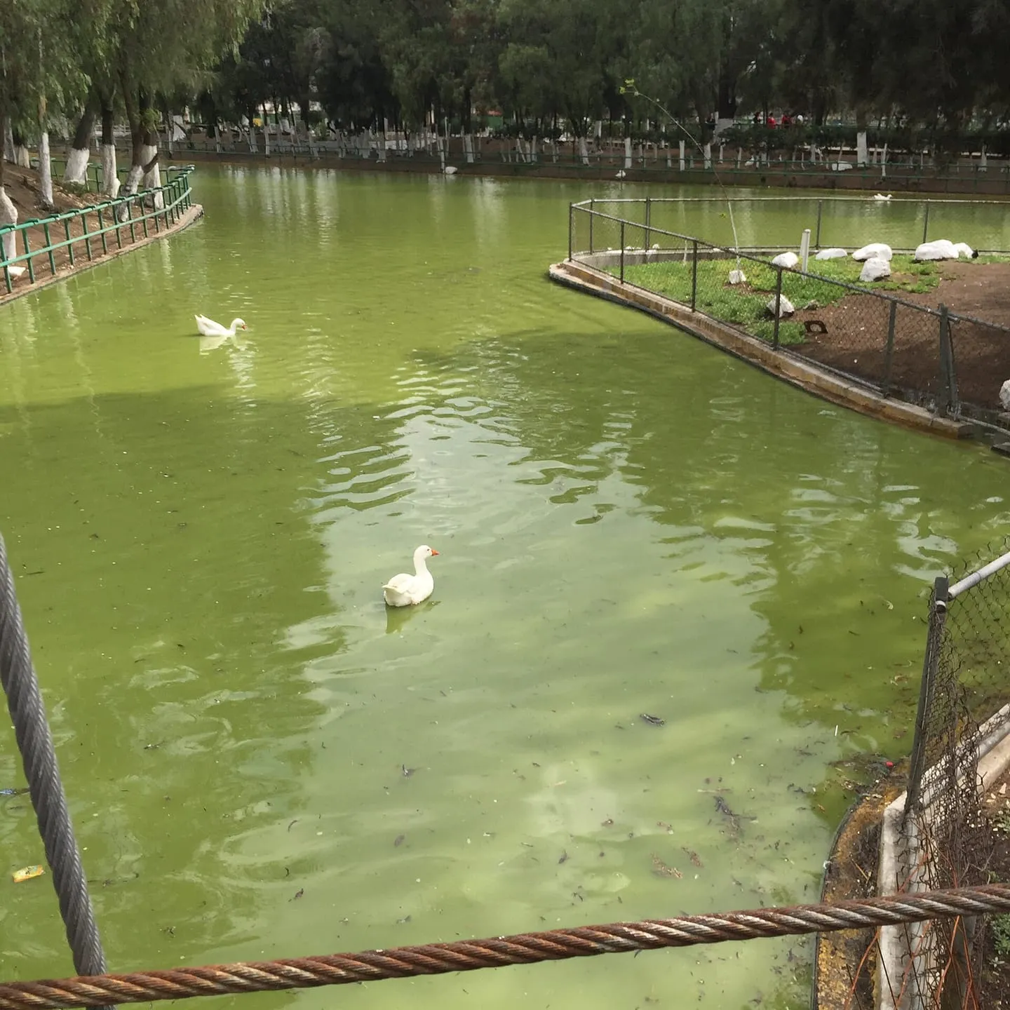 Parque del Pueblo con zoológico