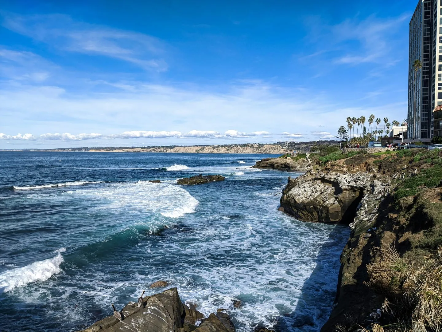 Birch Aquarium at Scripps