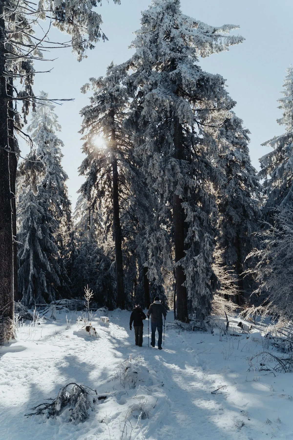 Seasonal Date Ideas: 10 Ways to Make Any Time of Year Feel Special