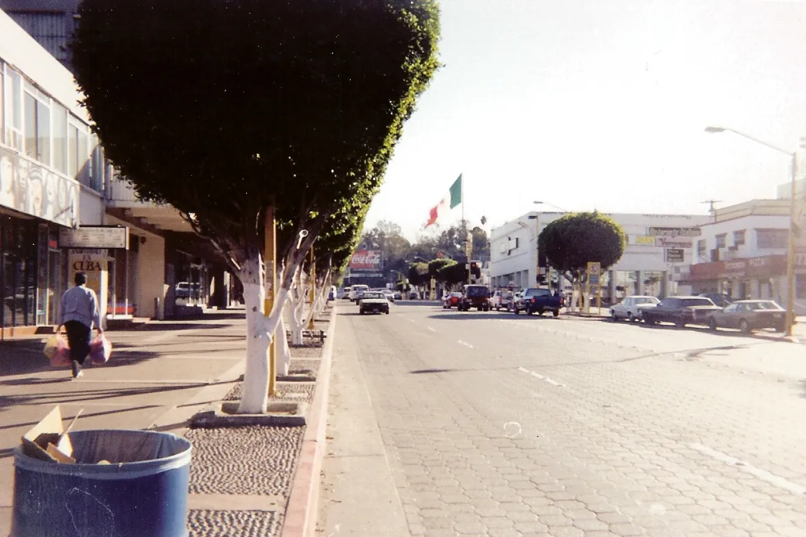 Paseo por la Avenida Revolución y el Arco